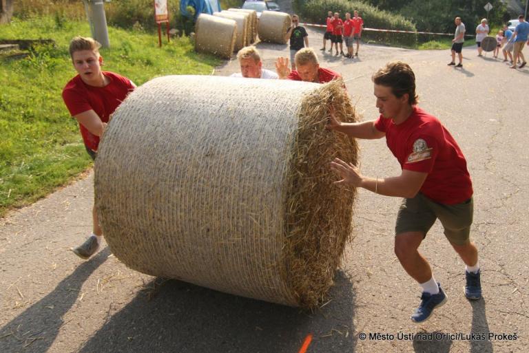 IMG2542