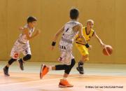 IMG42231