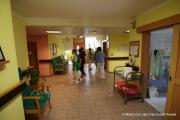 IMG4877