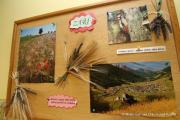 IMG4880