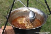 IMG4953