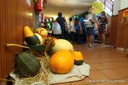 IMG9889