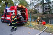 IMG77731