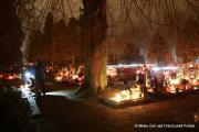 IMG14191