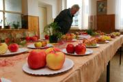 IMG7673