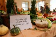 IMG7675