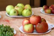 IMG7681