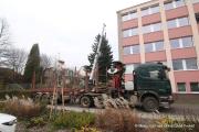 IMG6264