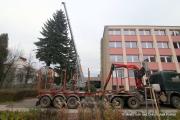 IMG6290