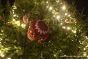 IMG6734
