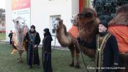 IMG98071