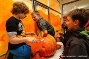 IMG8584