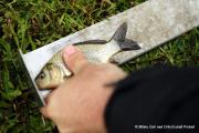 IMG3908