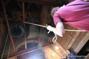 IMG4688
