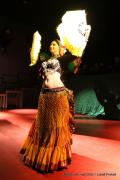 IMG89151