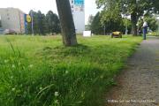 IMG20200702090614