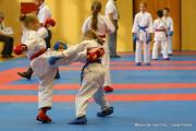 IMG8852