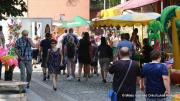 IMG9005
