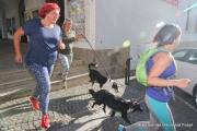 IMG1314