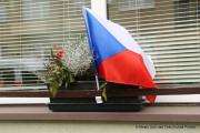 IMG4262