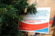IMG4458