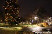 IMG4572