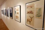 IMG4682
