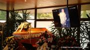 IMG4924