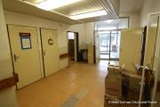 IMG5484