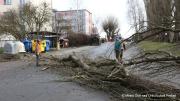 IMG6759