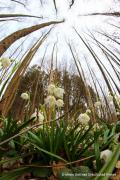 IMG6856