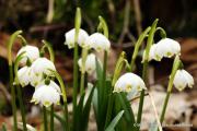 IMG6879