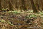 IMG6890