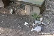IMG6795