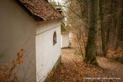 IMG7296