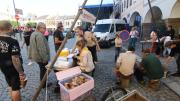 IMG4502