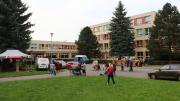 IMG9447