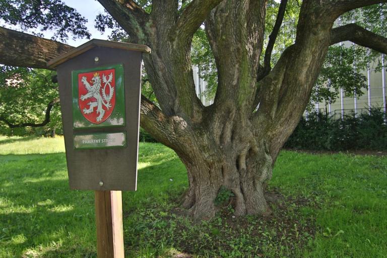 IMG2338-001