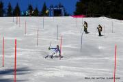 IMG5474