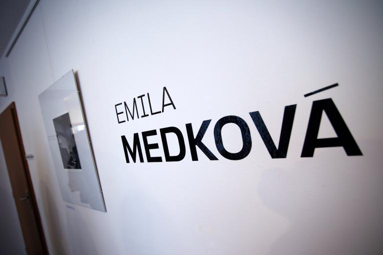 3K0A1651
