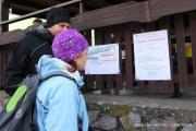 IMG8945