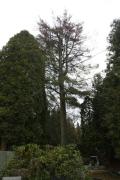 IMG8675