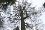 IMG8678