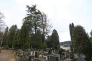 IMG8679
