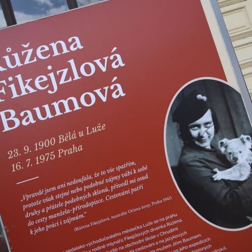 3K0A14823