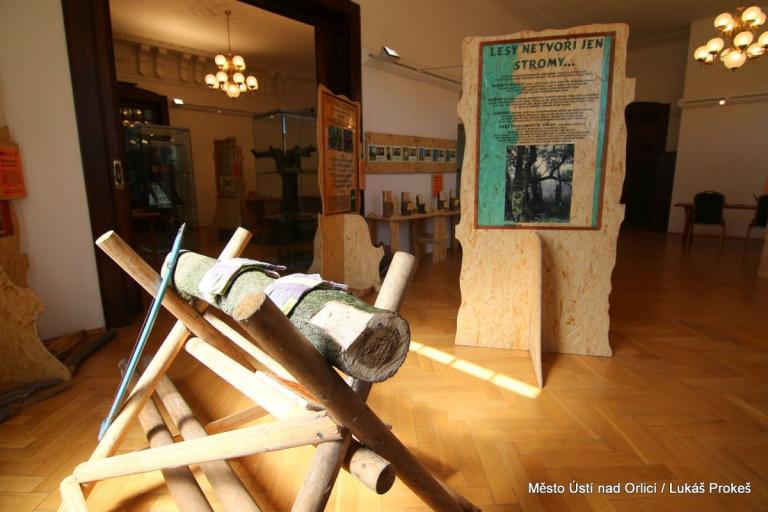 IMG0295-2
