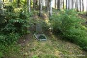 IMG5960