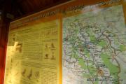 IMG5967