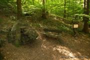 IMG5971