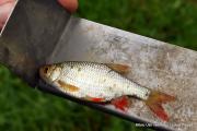 IMG6098